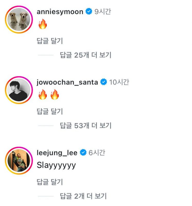 Annie Woochan RIIZE comment controversy