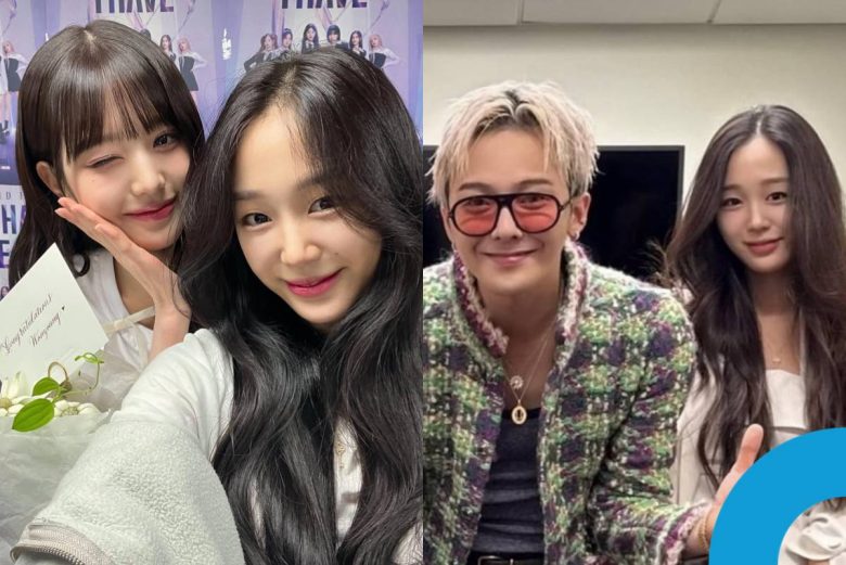 haebol heiress celebrity connections