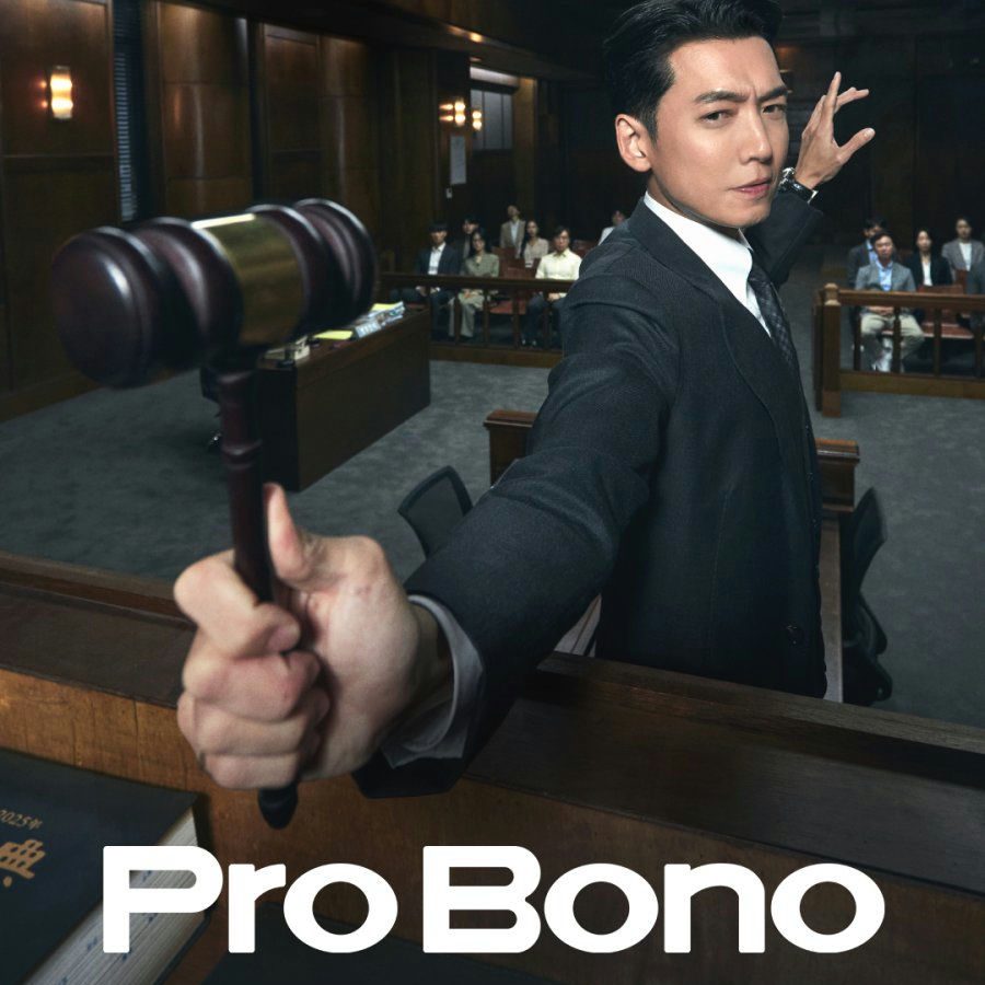 pro bono final episode ratings