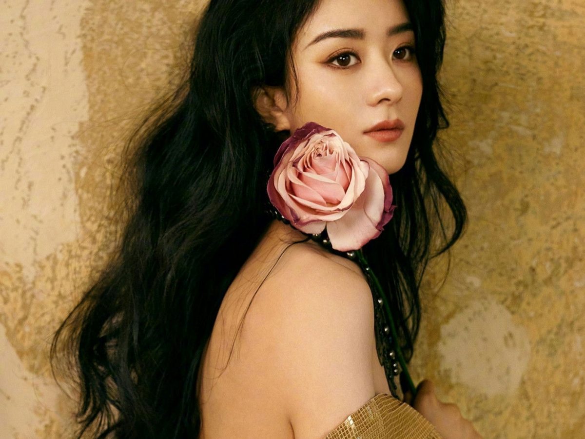 Zhao Liying Faces Long Acting Hiatus Despite Award-Winning Success