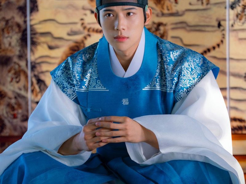 people-Choi Woo-shik-Korean actor-seated-blue and white Hanbok-tiger-patterned screen-Korean historical drama