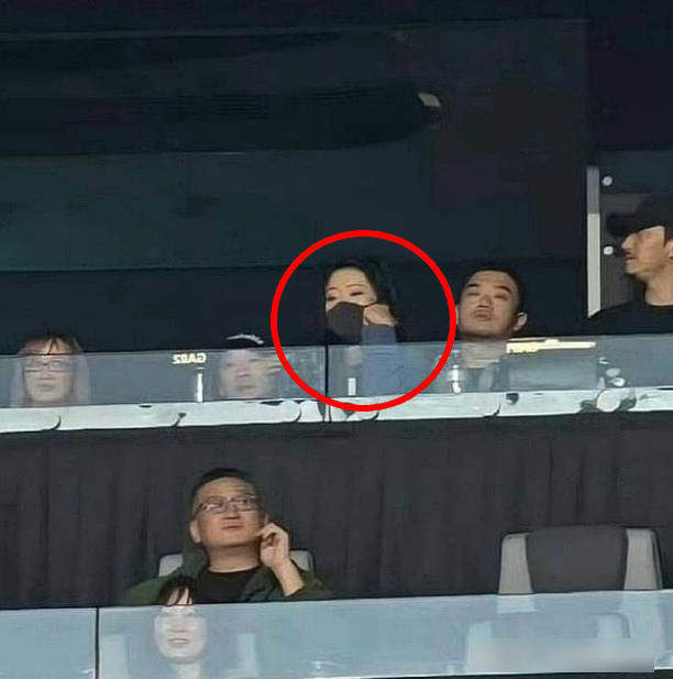 people-Chinese actress Fan Bingbing-attending sporting event-wearing face mask-in a box seat-next to a man