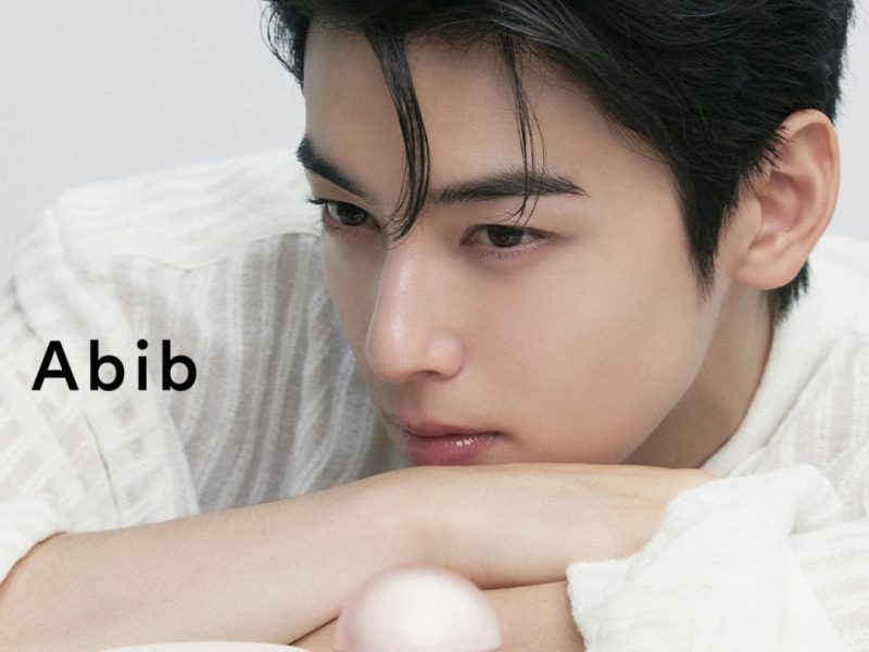 cha eun woo tax evasion