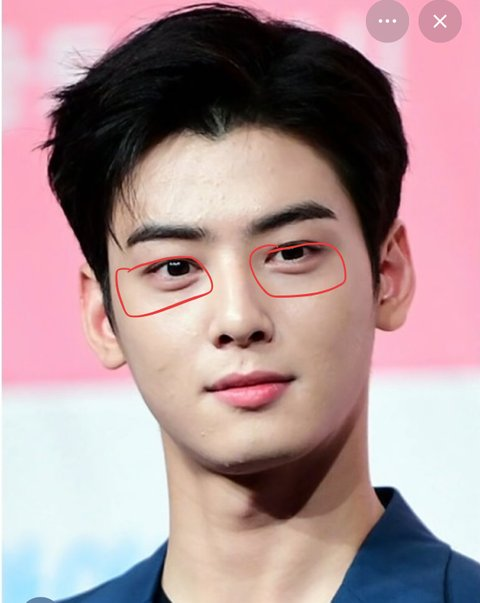 cha eun woo plastic surgery rumors xwvhrsvuplt1qe-lsletkmju4nkgxucogu4j8m0blie-cha-eun-woo-plastic-surgery-rumors