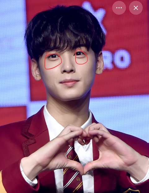 cha eun woo plastic surgery rumors ycutptn-jpm1qorutkrzedzhxbofjwpxhncd61v64f0-cha-eun-woo-plastic-surgery-rumors