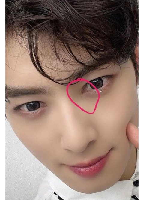 cha eun woo plastic surgery rumors g62xqdcibkcpcgbnhxhsw4skhygnvzewbkgxczlrr2u-cha-eun-woo-plastic-surgery-rumors