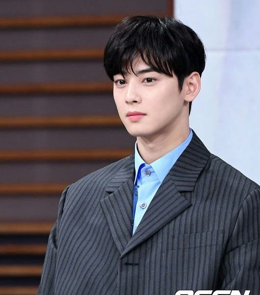 cha eunwoo tax evasion controversy brand withdrawals
