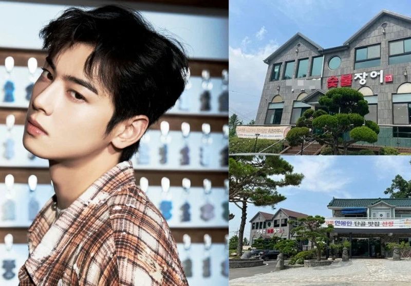 cha eunwoo ghost company investigation