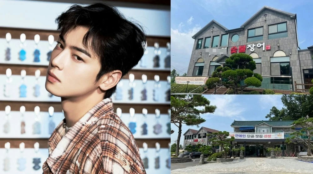 cha eunwoo ghost company investigation