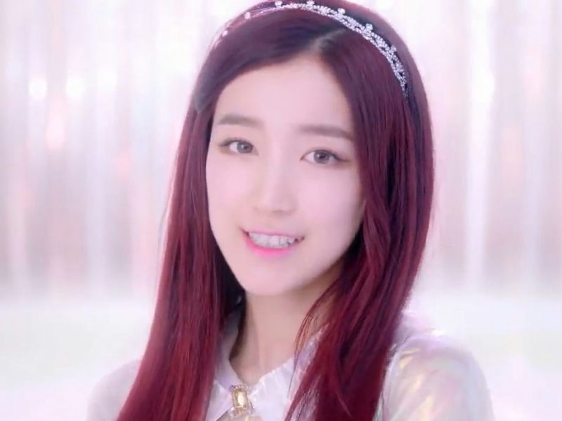 gugudan hana flight attendant