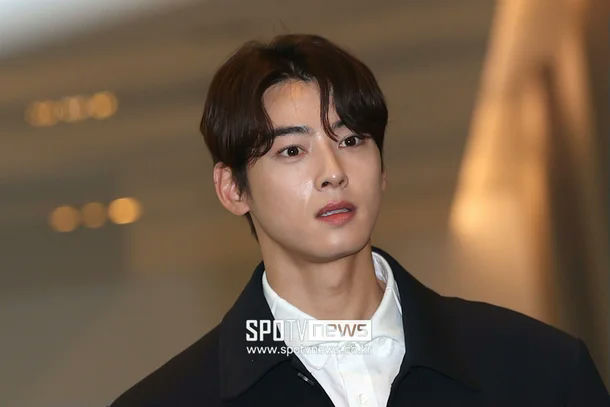 cha eunwoo tax allegations
