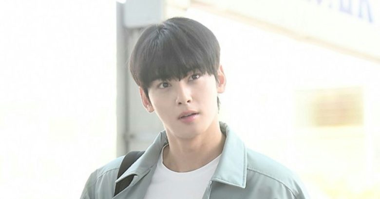 cha eun woo military tax investigation