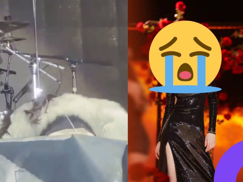 Yu Wenwen collapses on stage