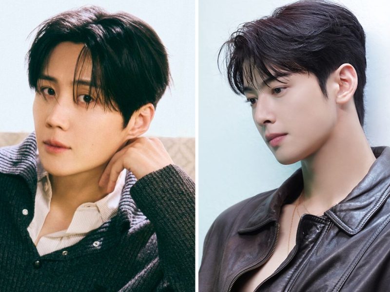 fantagio kim seon ho cha eun woo