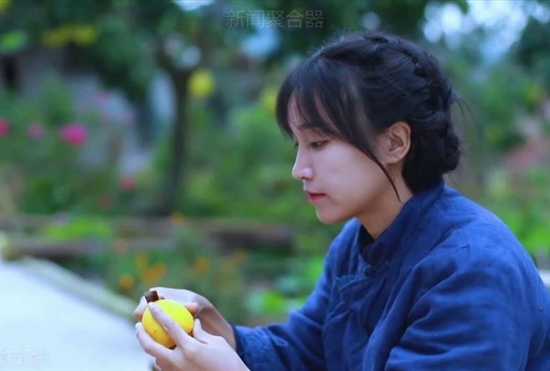 why did li ziqi disappear