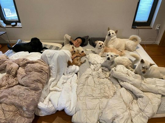 lee hyori home hygiene controversy
