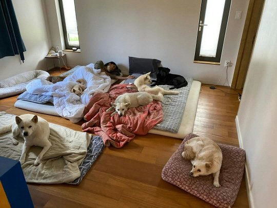 Lee Hyori home hygiene controversy