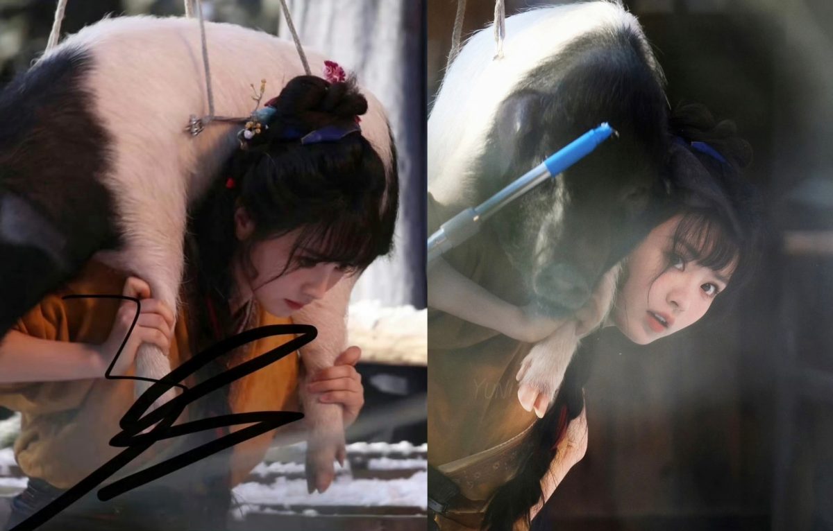 Tian Xiwei-113263
