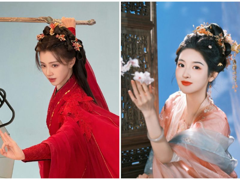wang herun wang yuwen controversy