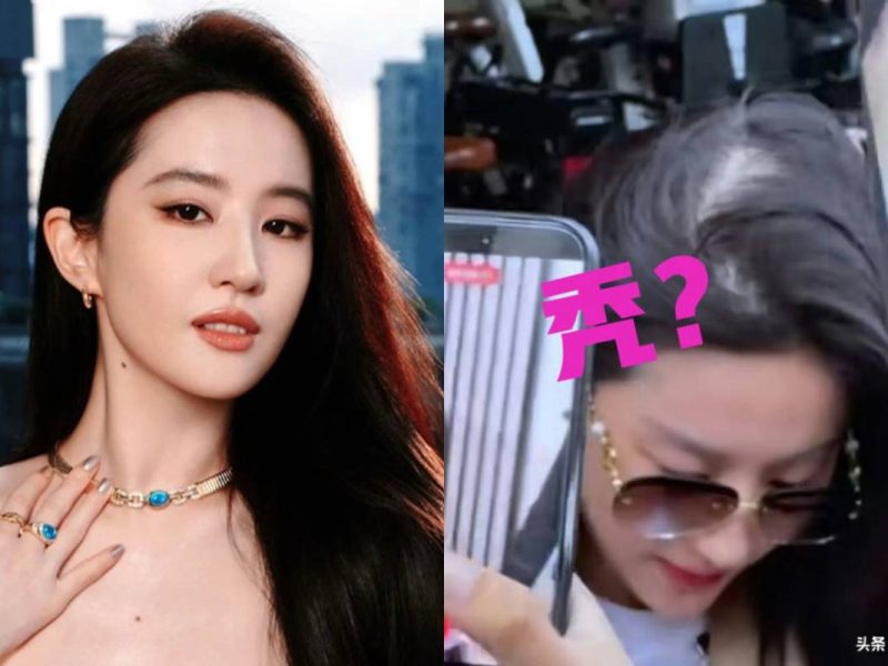 Liu Yifei hair care cost