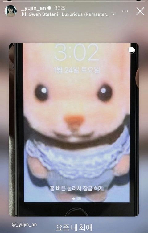 people-Yujin-An-A-Instagram-Story-A-phone-lock-screen-A-Sylvanian-Families-toy-A-Korean-text