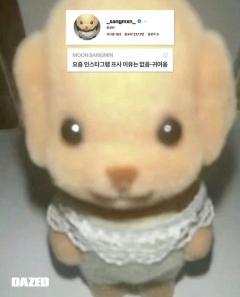 people-Moon Sangmin (from OnlyOneOf)-Sylvanian Families toy-blurry-Korean text-DAZED magazine logo