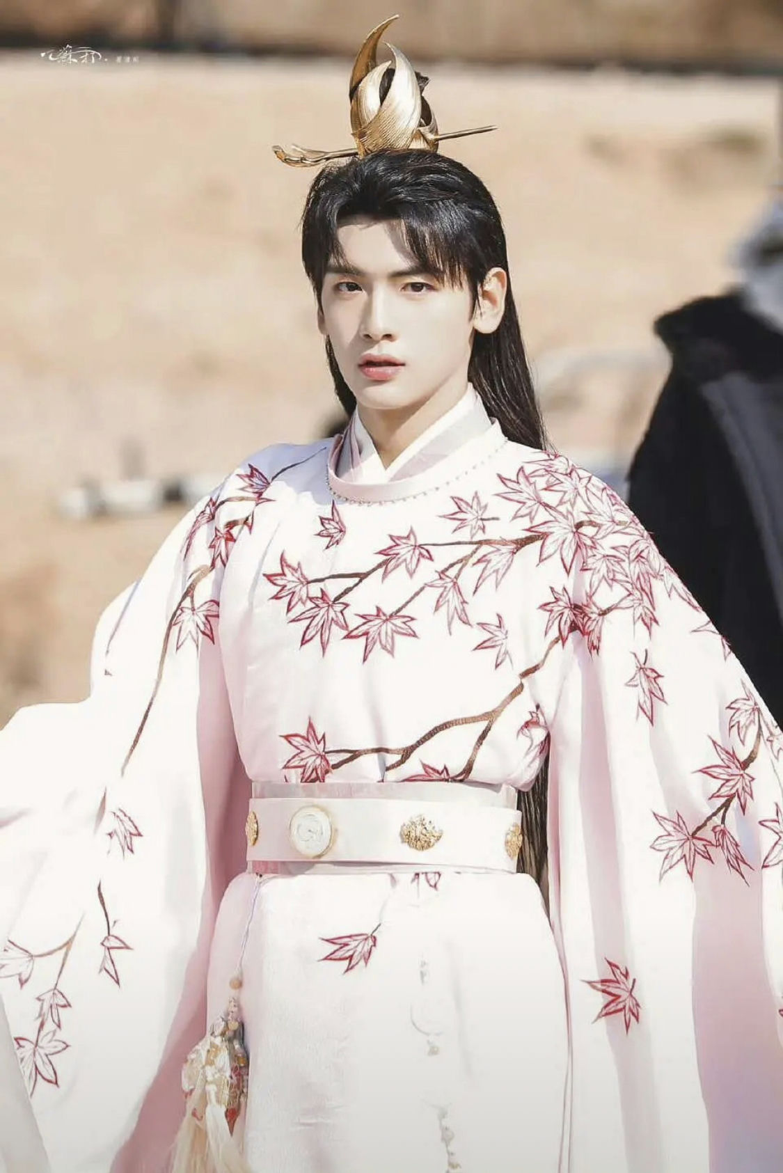 people-Chen Zheyuan-male-costume-A-Chinese historical drama-B-pink robes with maple leaf embroidery-C-gold hair ornament