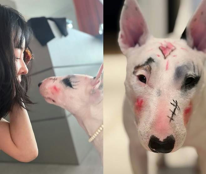 lee hye young dog makeup controversy