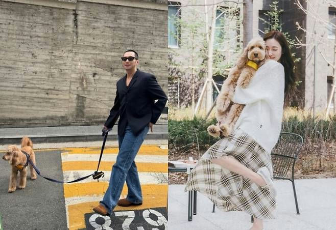 people-G-Dragon-A-woman-A-dog-A-street-B-outdoor-B-fashion-C