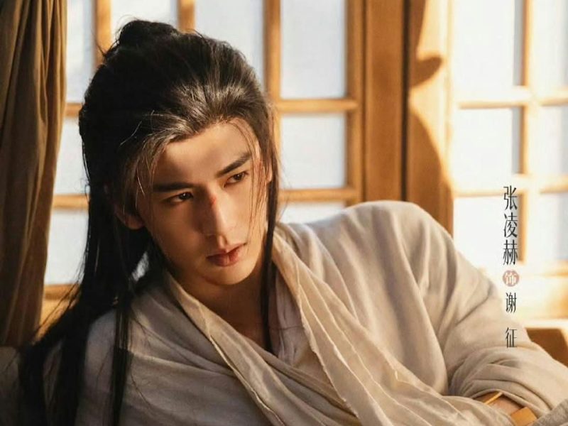 zhu yu controversy summary