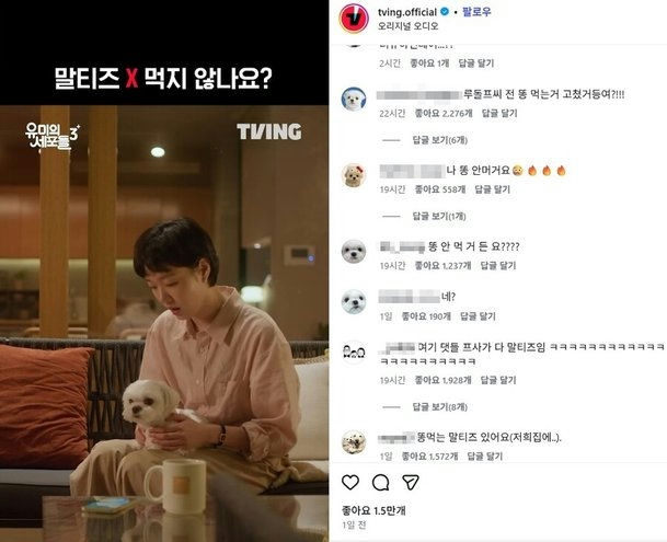 Kim Jae Won Maltese controversy Yumi's Cells 3
