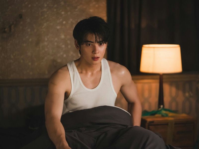 cha eunwoo the wonderfools