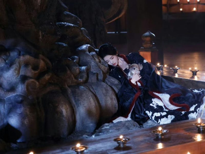 ju jingyi beauty in veil of shadows