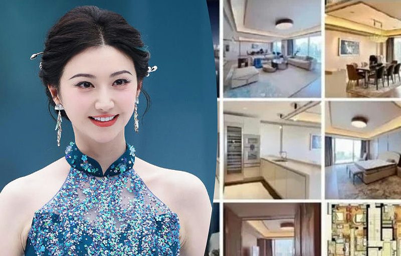 jing tian surrogacy controversy