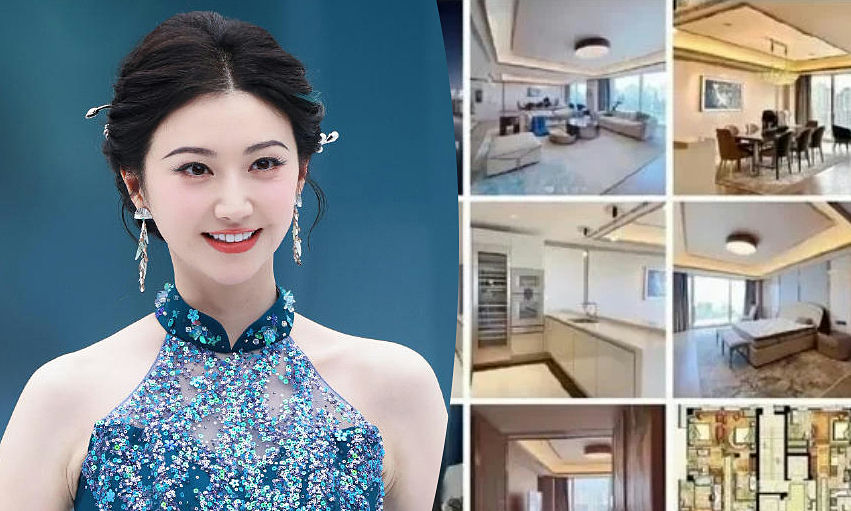 jing tian surrogacy controversy