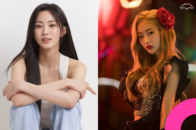 former kpop idols careers