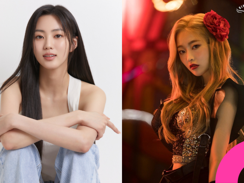 former kpop idols careers