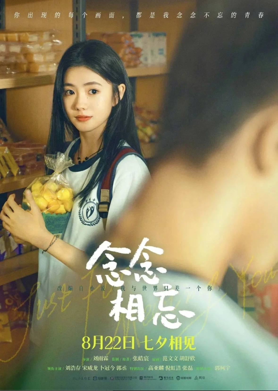 Liu Haocun