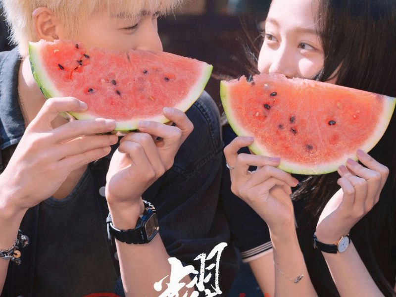 6 Most-Watched Chinese Dramas on Douban Right Now: Bai Lu, Yang Zi, Yang Yang Dominate Rankings