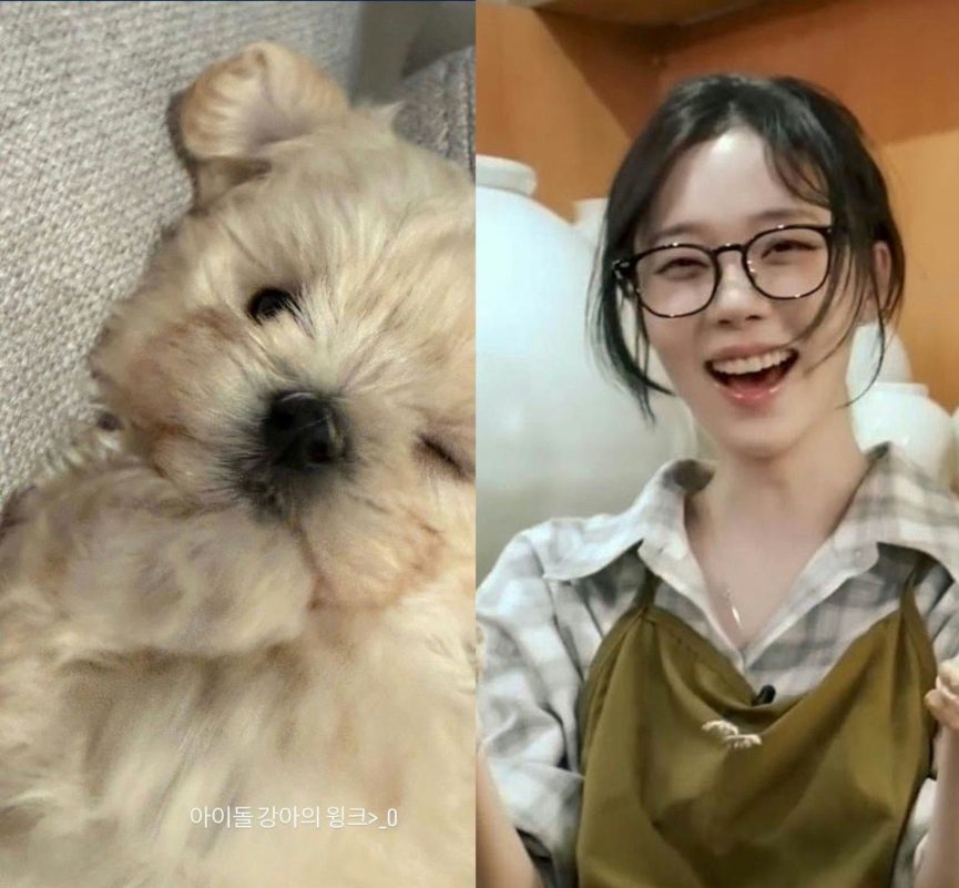 aespa’s Winter Addresses Pet Shop Rumors, Reveals Rescue Dog’s Adoption Story