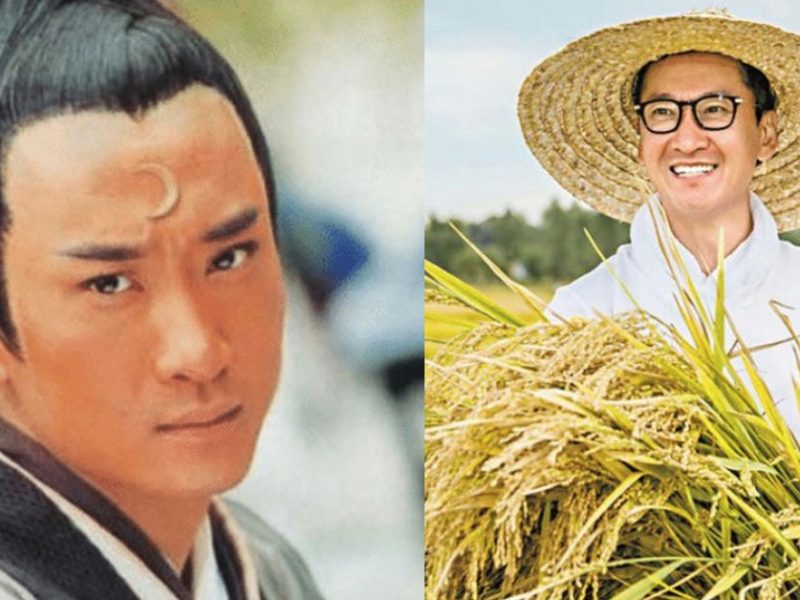 How Did Young Justice Bao Star Become an Agricultural Tycoon After Leaving Showbiz?