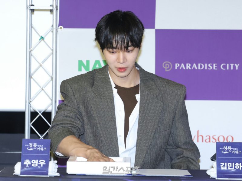 choo youngwoo blue dragon series awards controversy