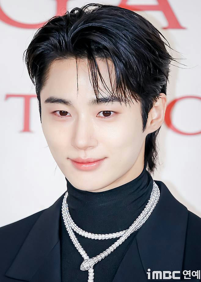 Byeon Woo Seok malicious commenters legal action